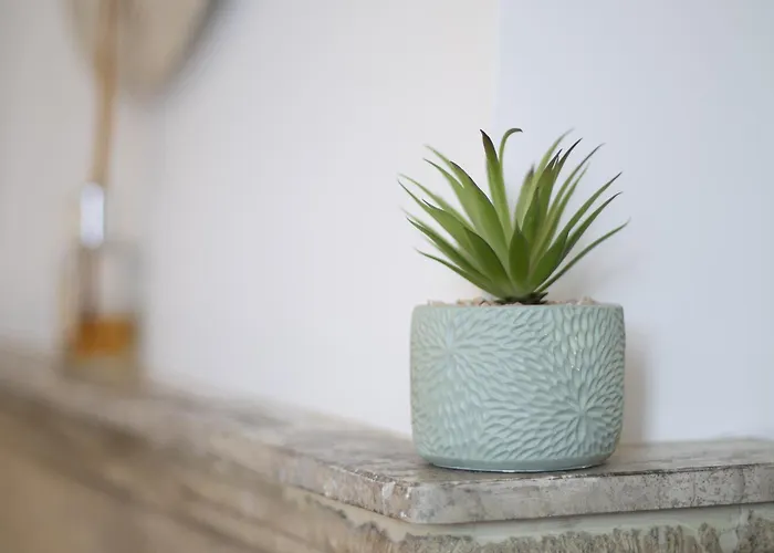 Apartamento De Coeur *